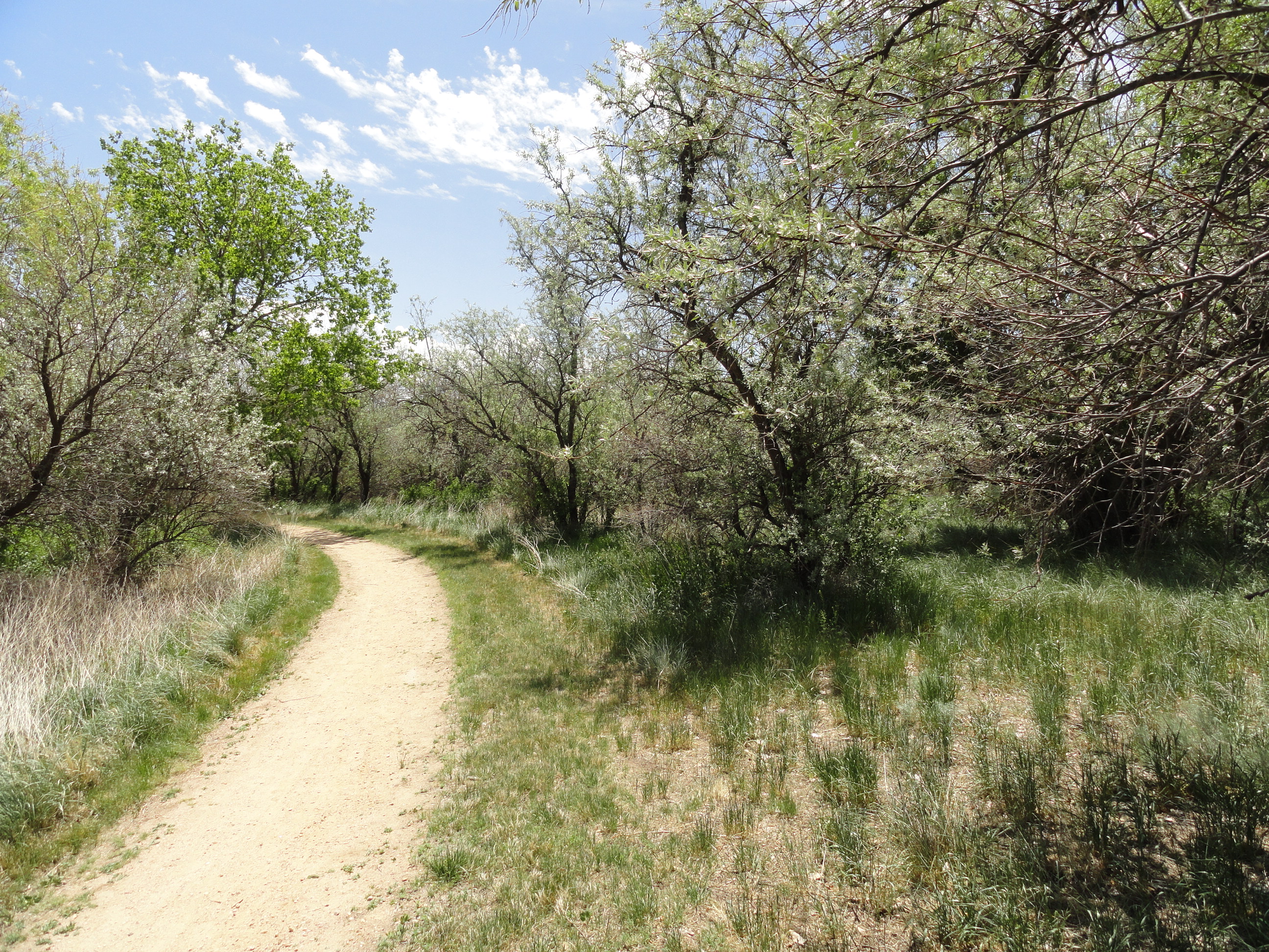 The trail at Jackson Lake State Park