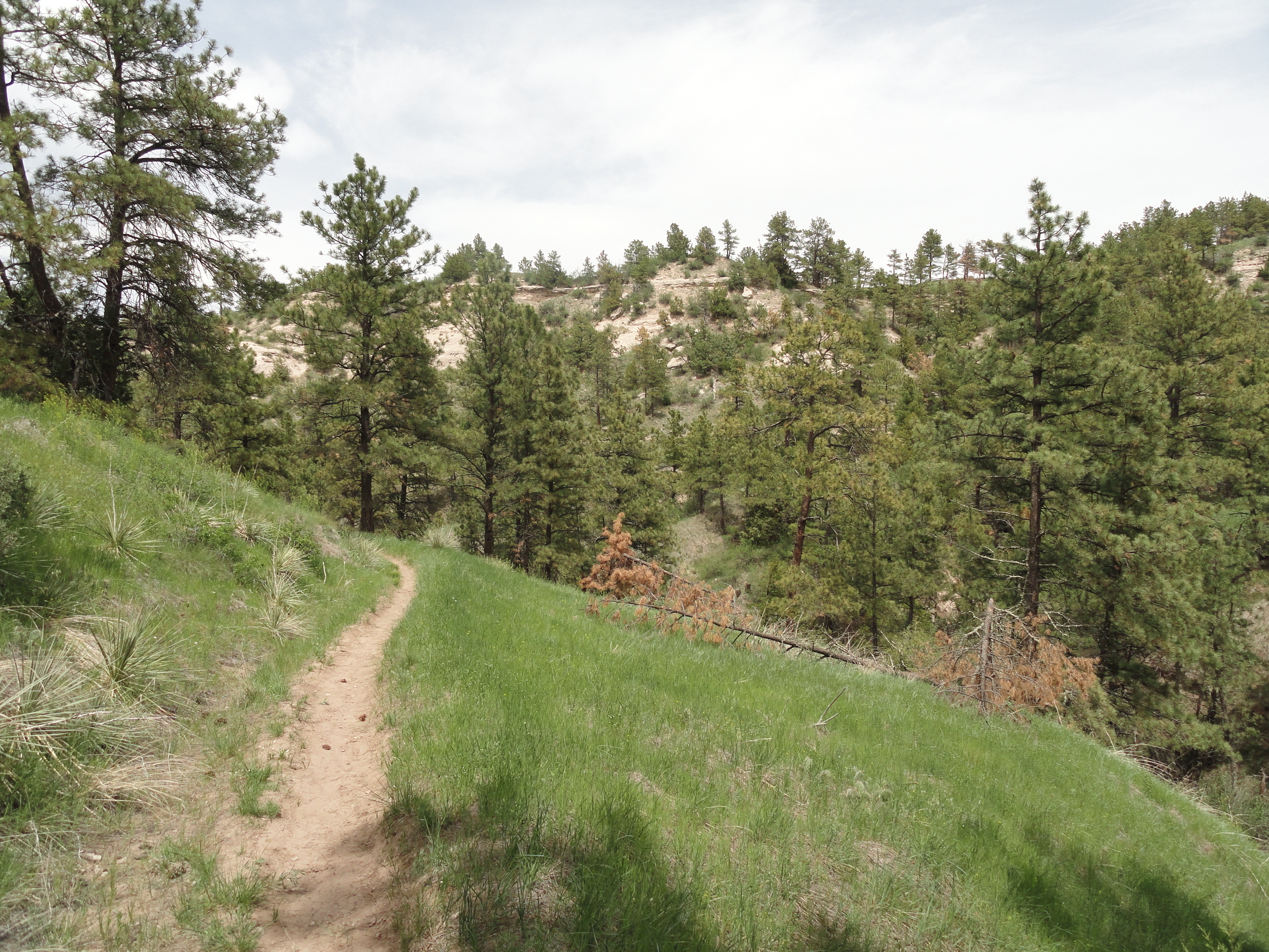 The trail at Wildcat Hills.