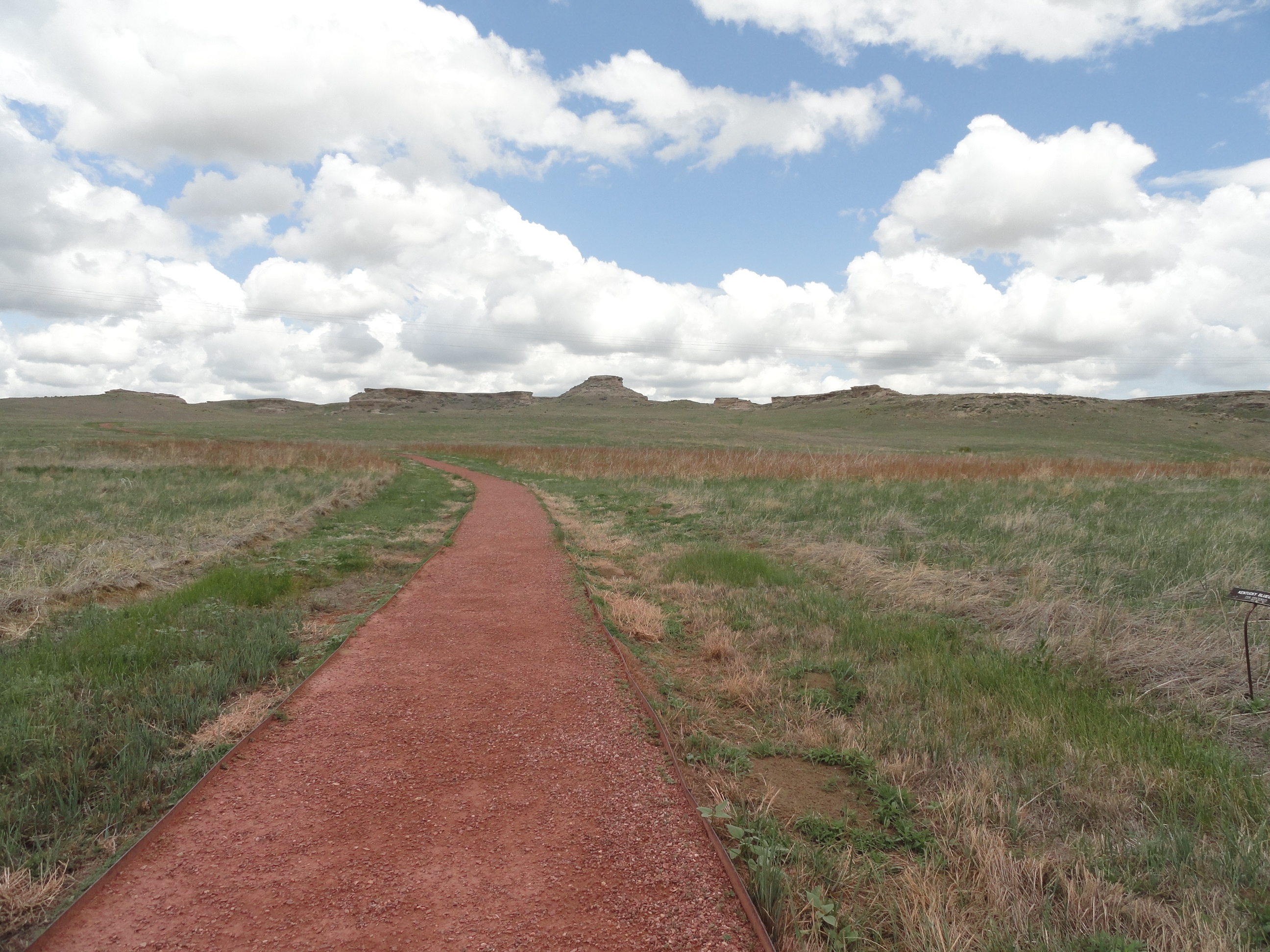 The Daemonelix Trail at the entrance.