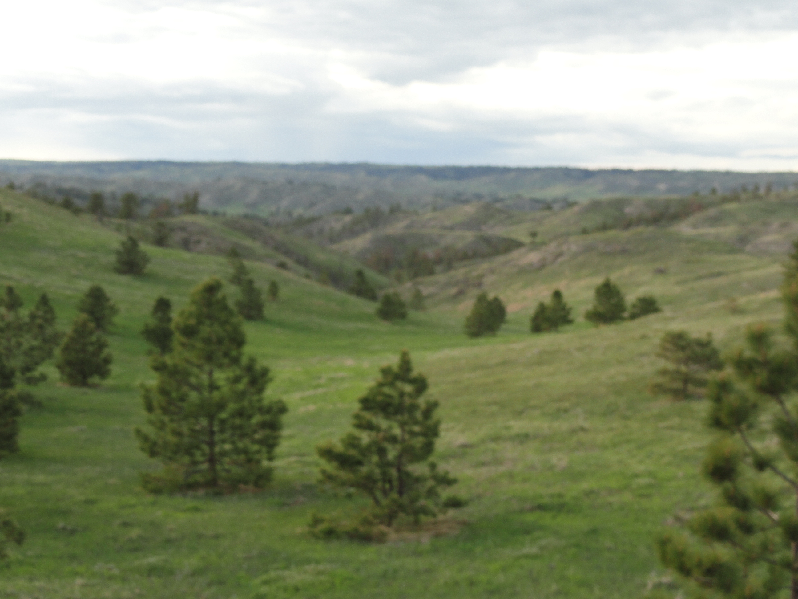 The Smiley Canyon Scenic Area