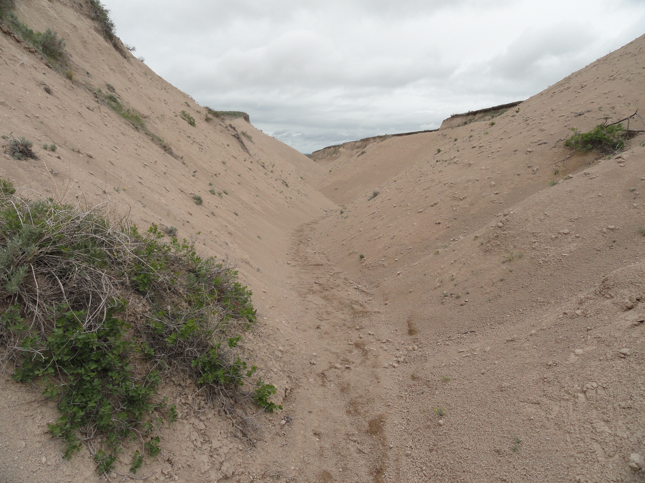 Arroyos at Toadstool Geologic park