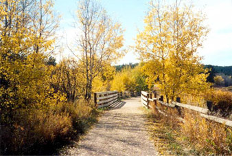 The Mickelson Trail, South Dakota