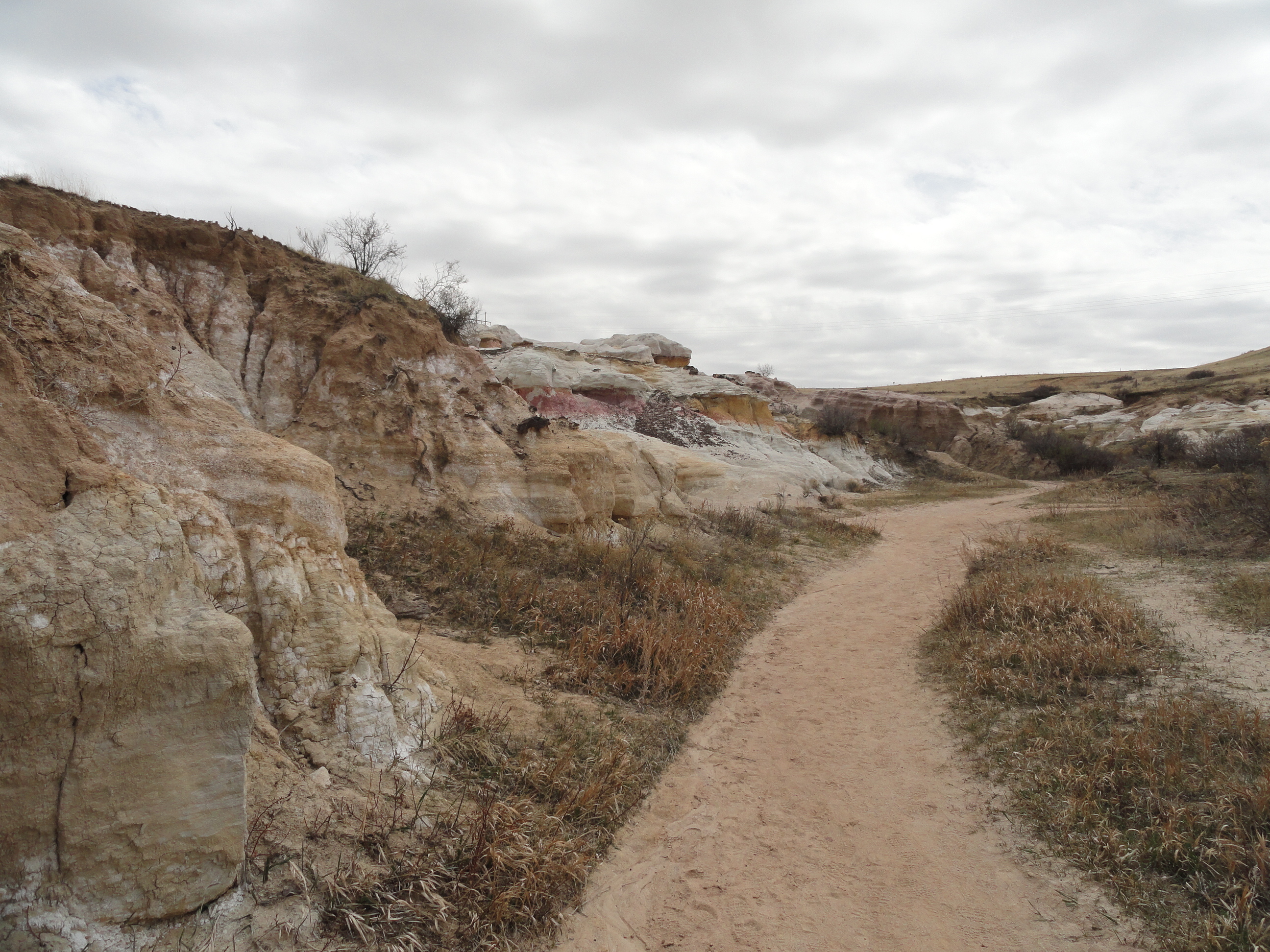 The trails are well maintained.