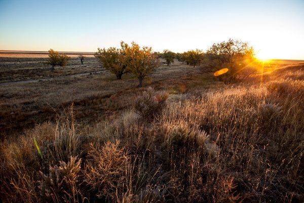 Sand Creek today