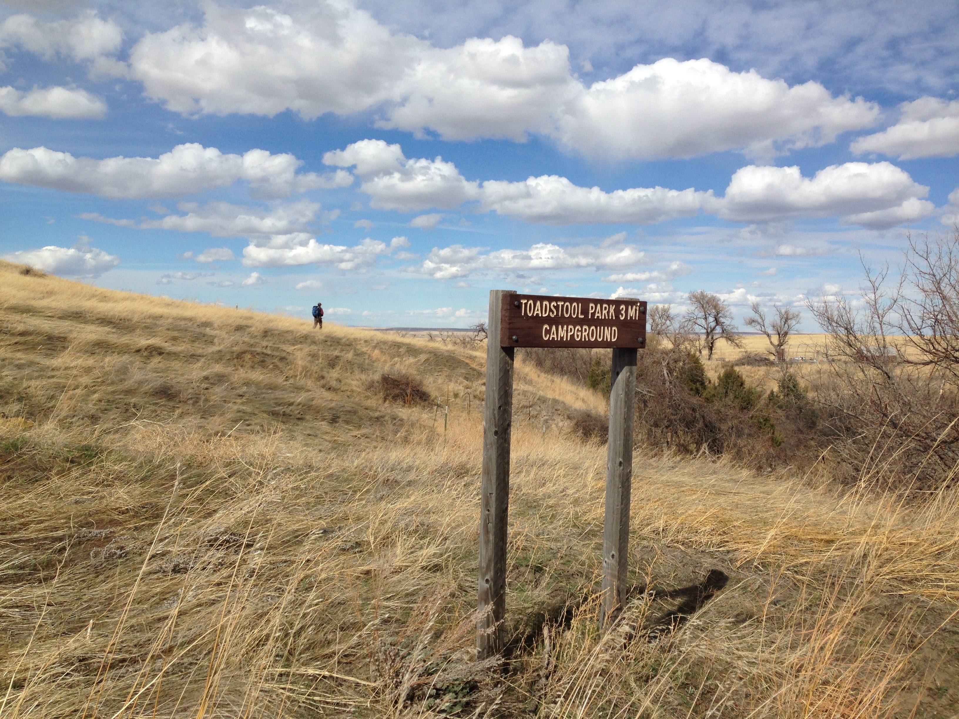 The Bison Trail to Toadstool