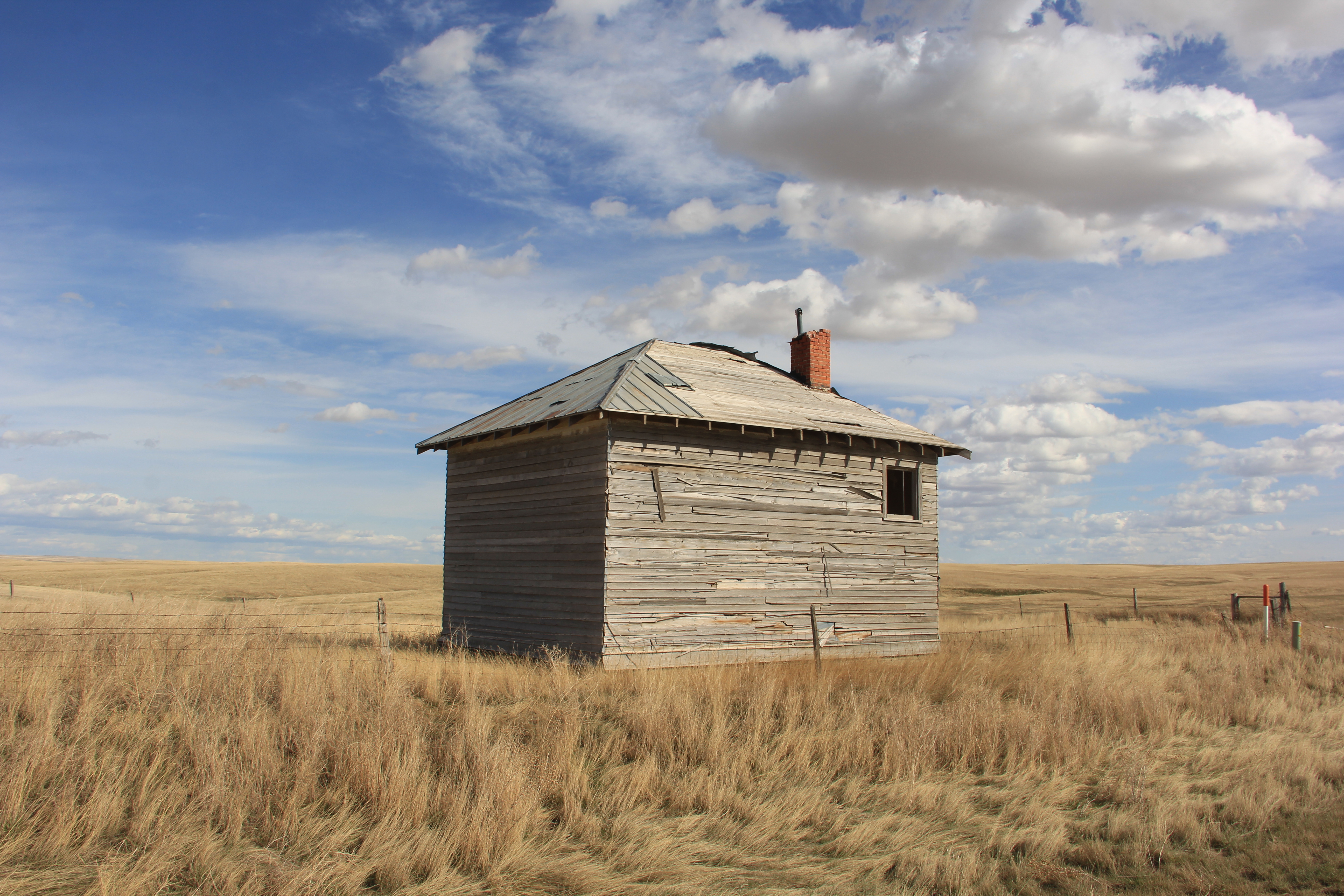 Windswept scenery