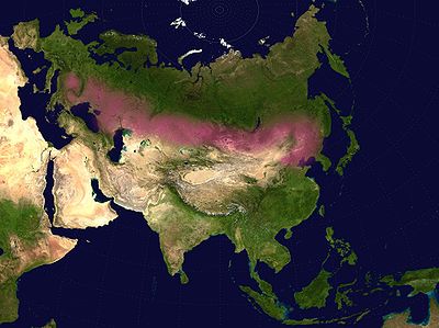 400px-Eurasian_steppe_belt