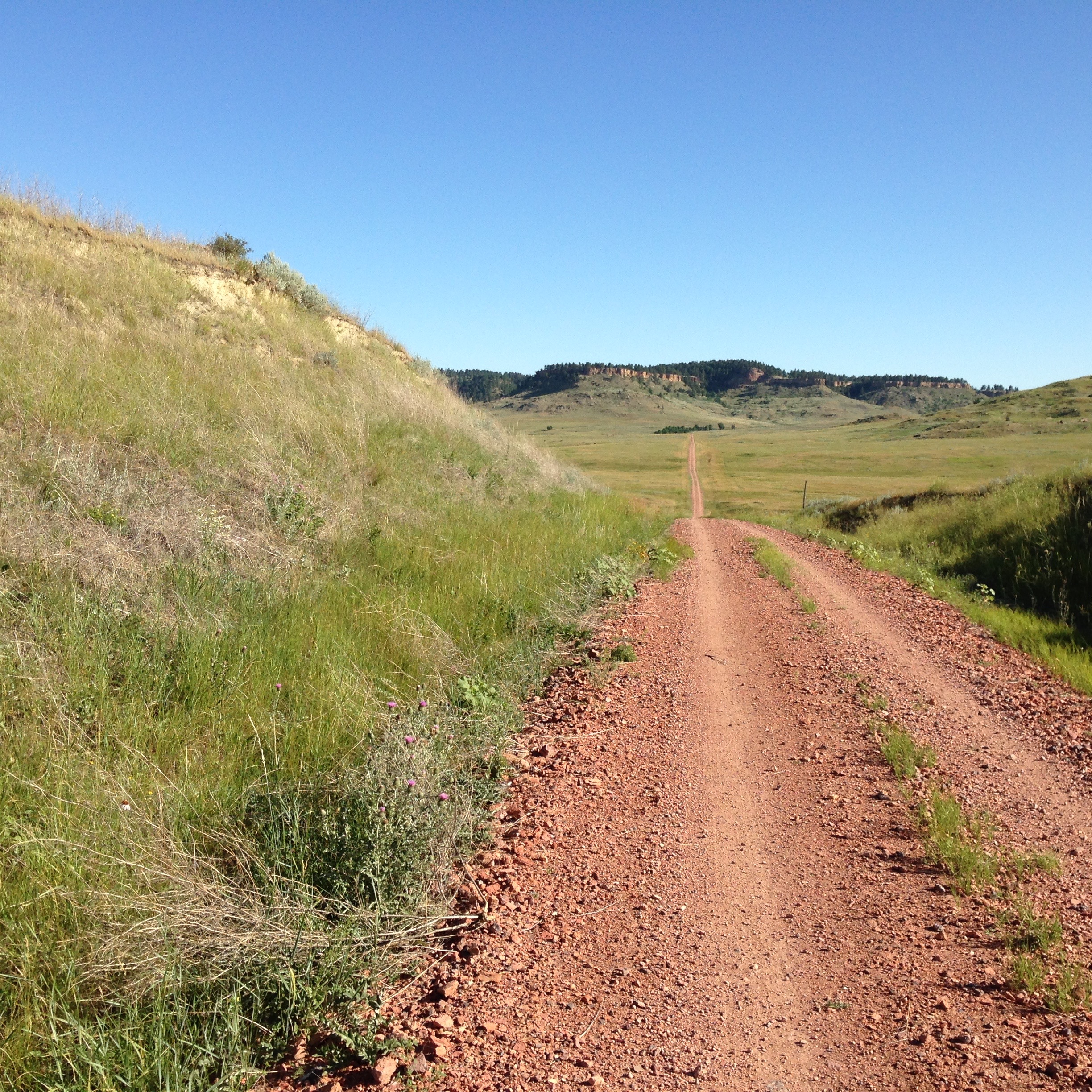 The road toward the Cave Hills portion of Custer National Forest