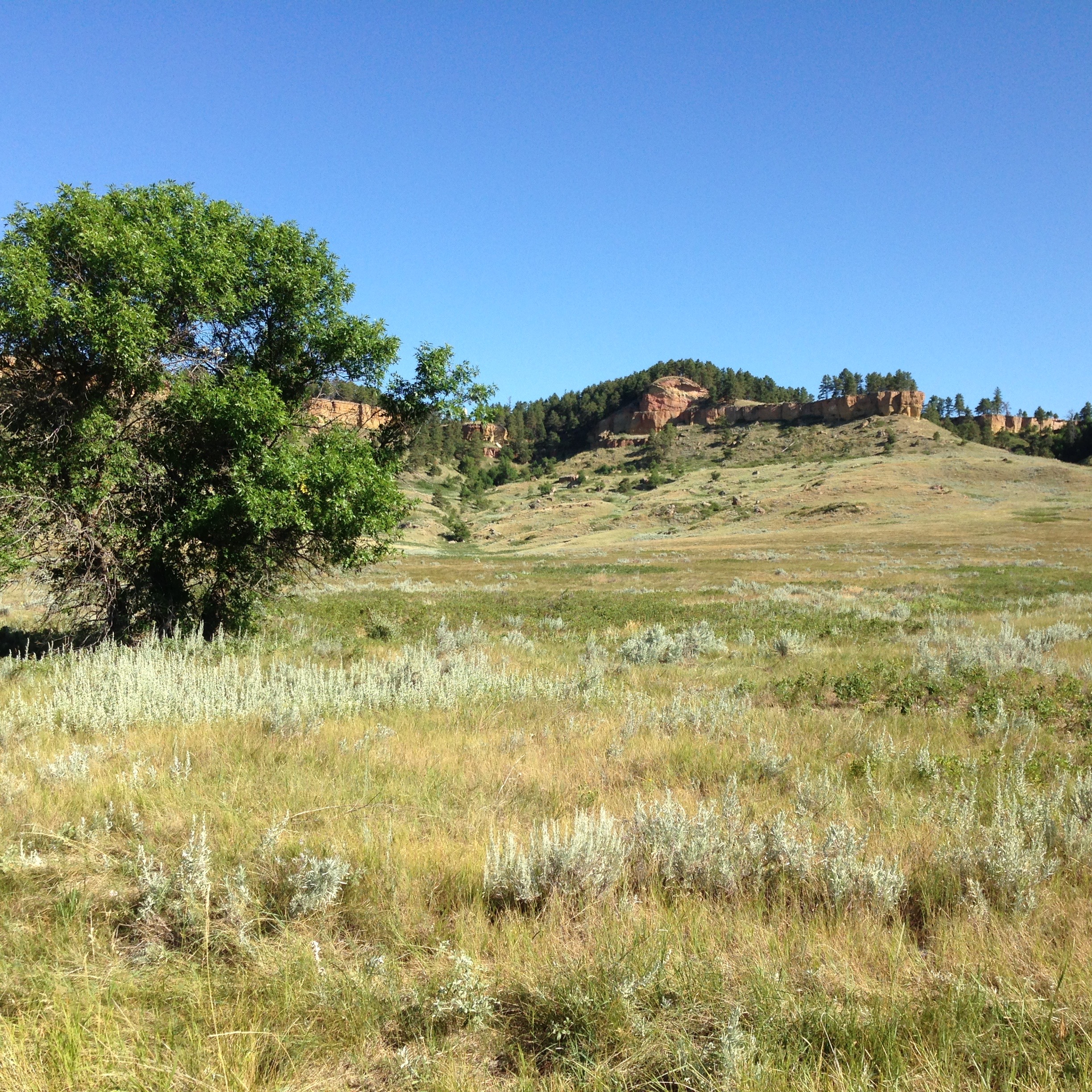 A closer view of the surrounding buttes