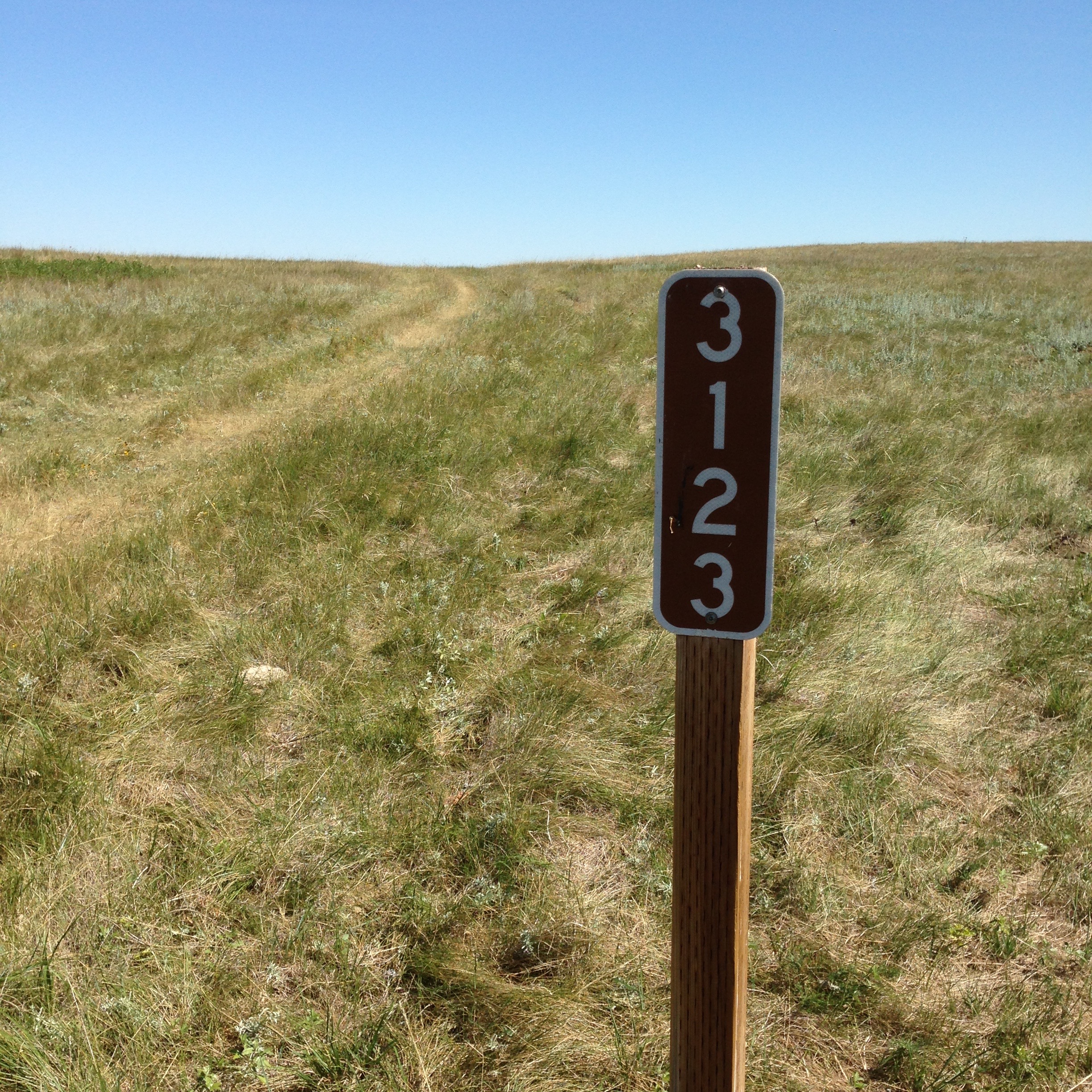 On the GPT!  A two track "road" through the grass