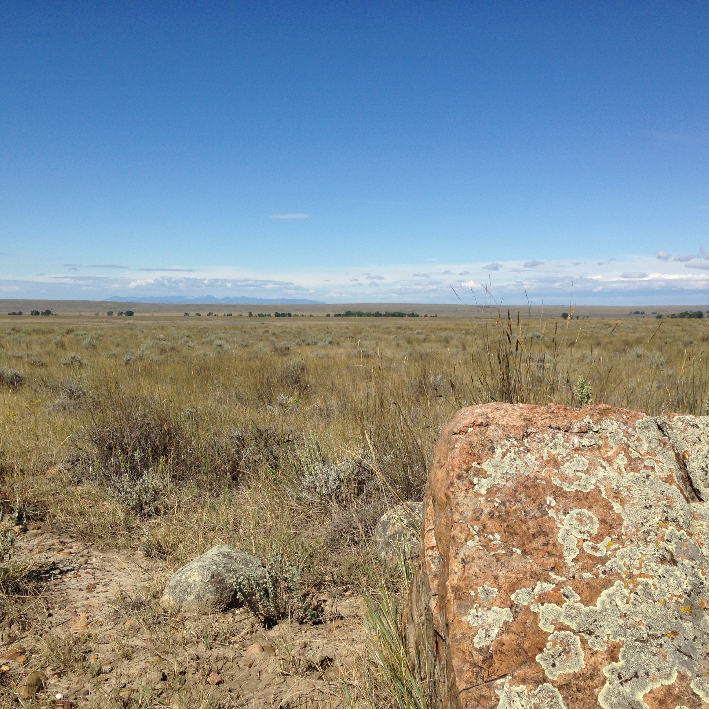 For some reason, I was in to taking pictures of rocks.