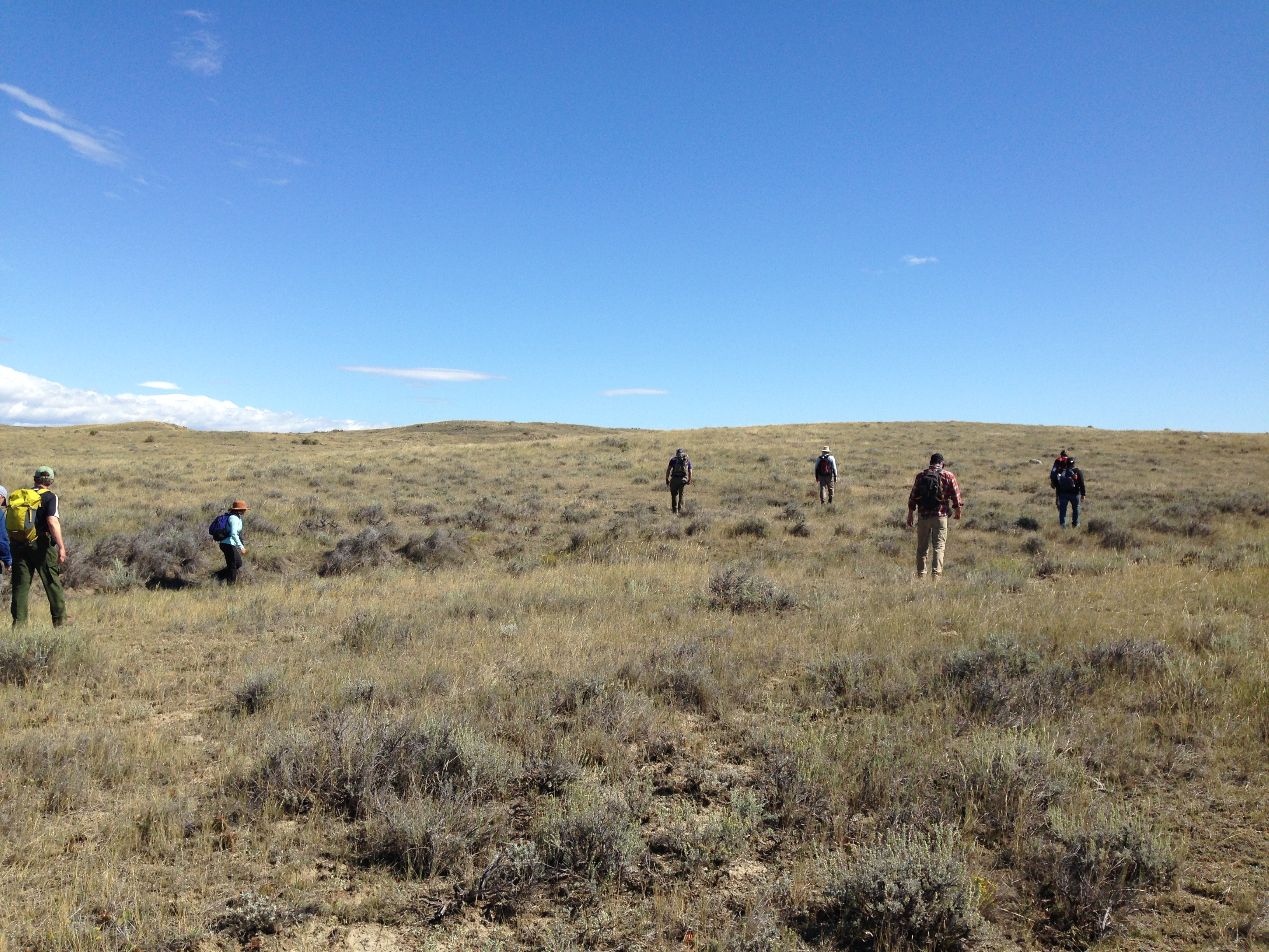 The hike in the open country