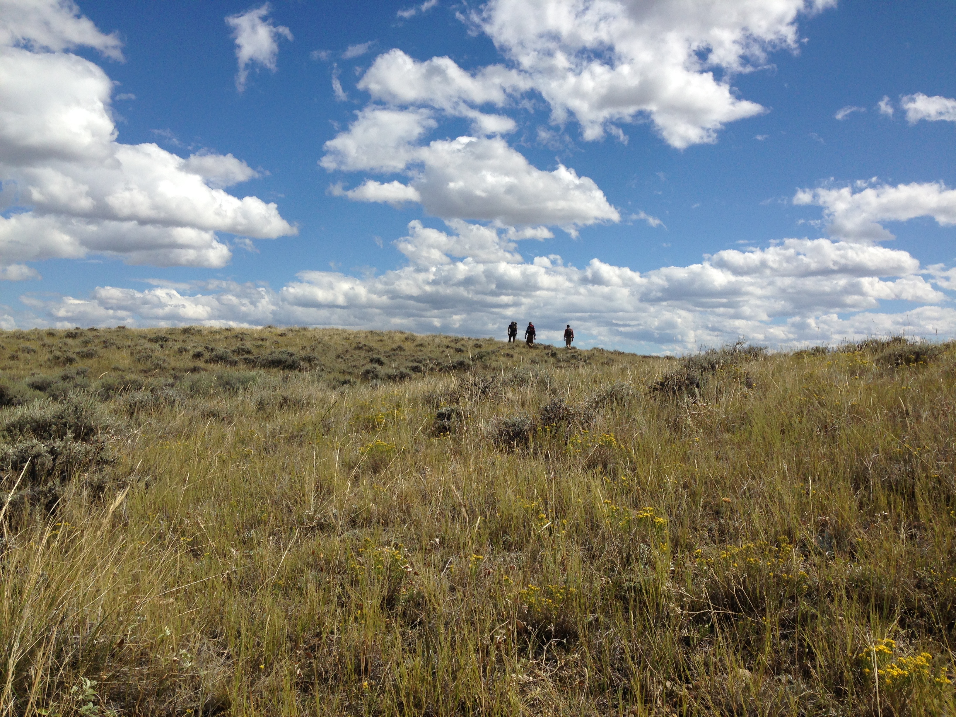 Ascending the ridge