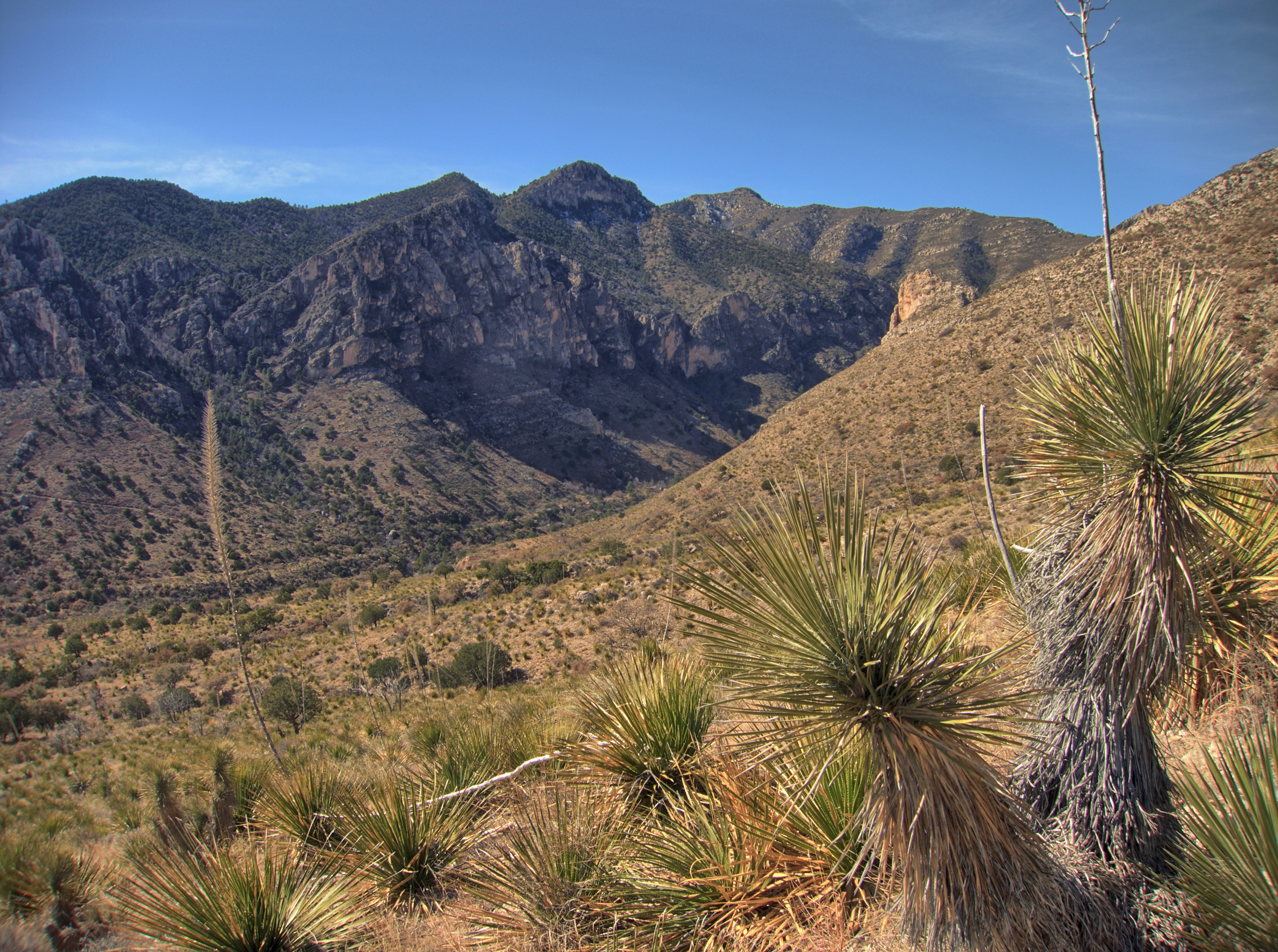 guadalupe-peak