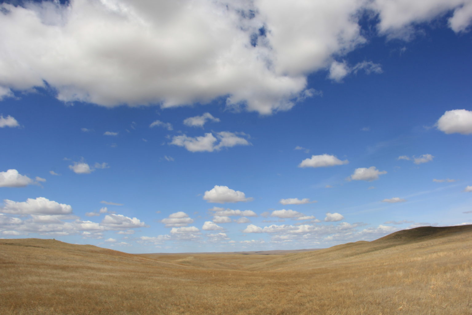 The Atlantic - Trees are Overrated - Great Plains Trail Alliance